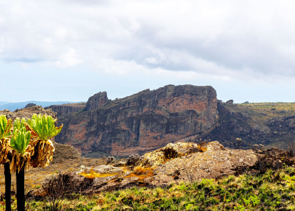 mount-elgon-national-park