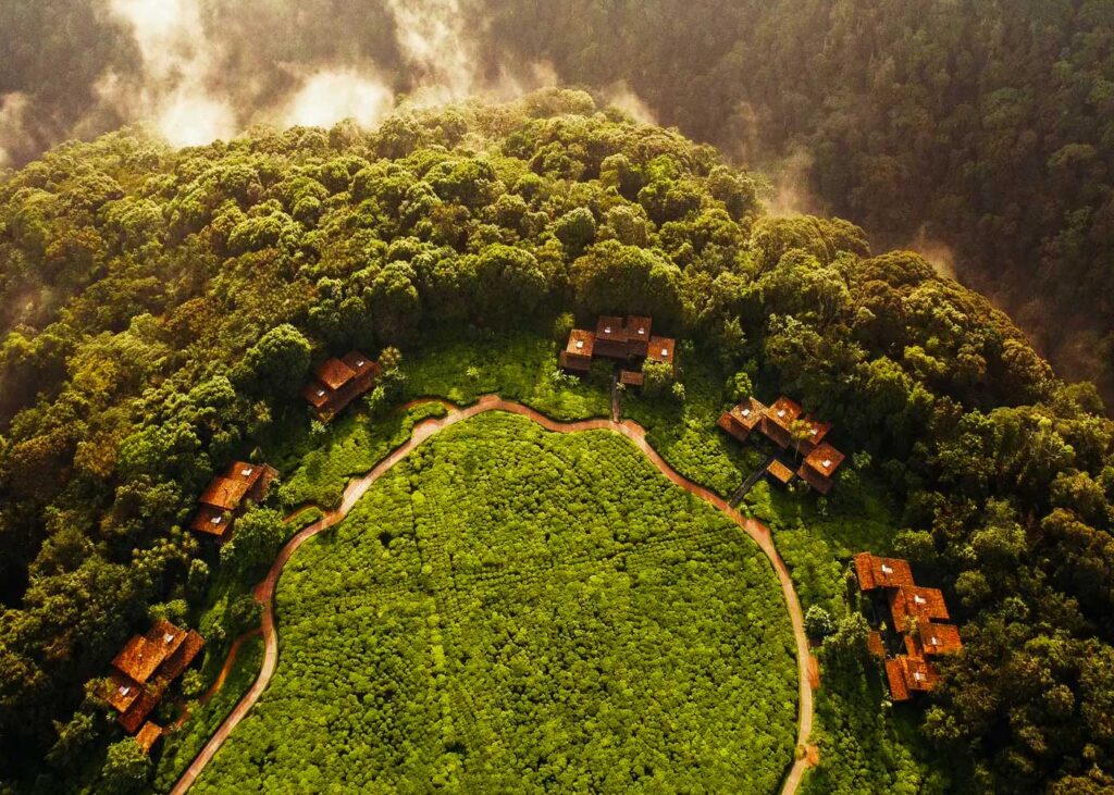 one-and-only-nyungwe-house