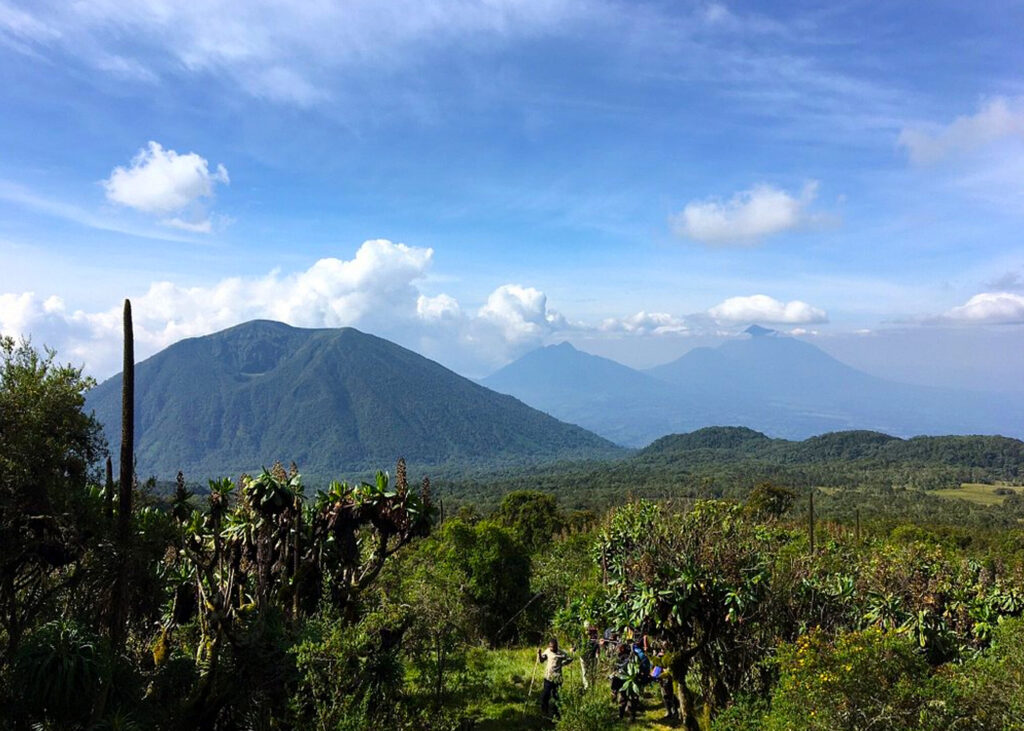 bisoke-hiking-in-volcanoes