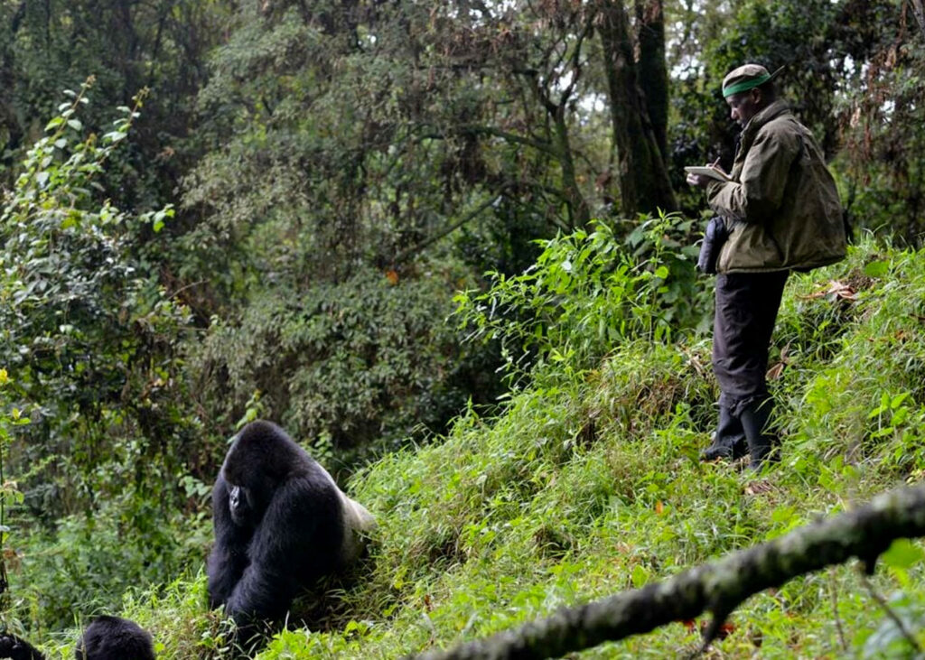 dian-fossey-gorilla-fund-visit