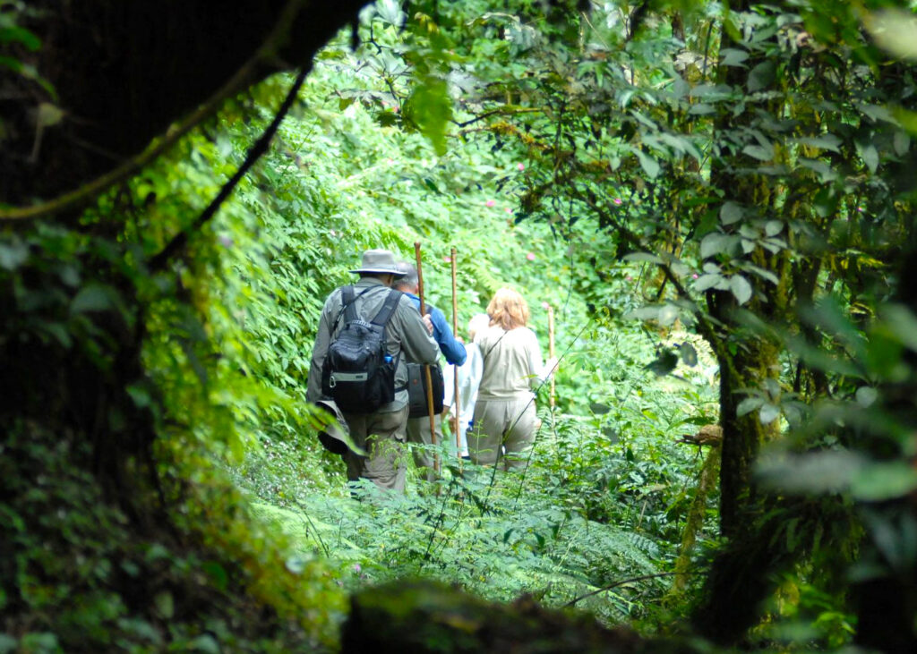 hike-dian-fossey-tombs