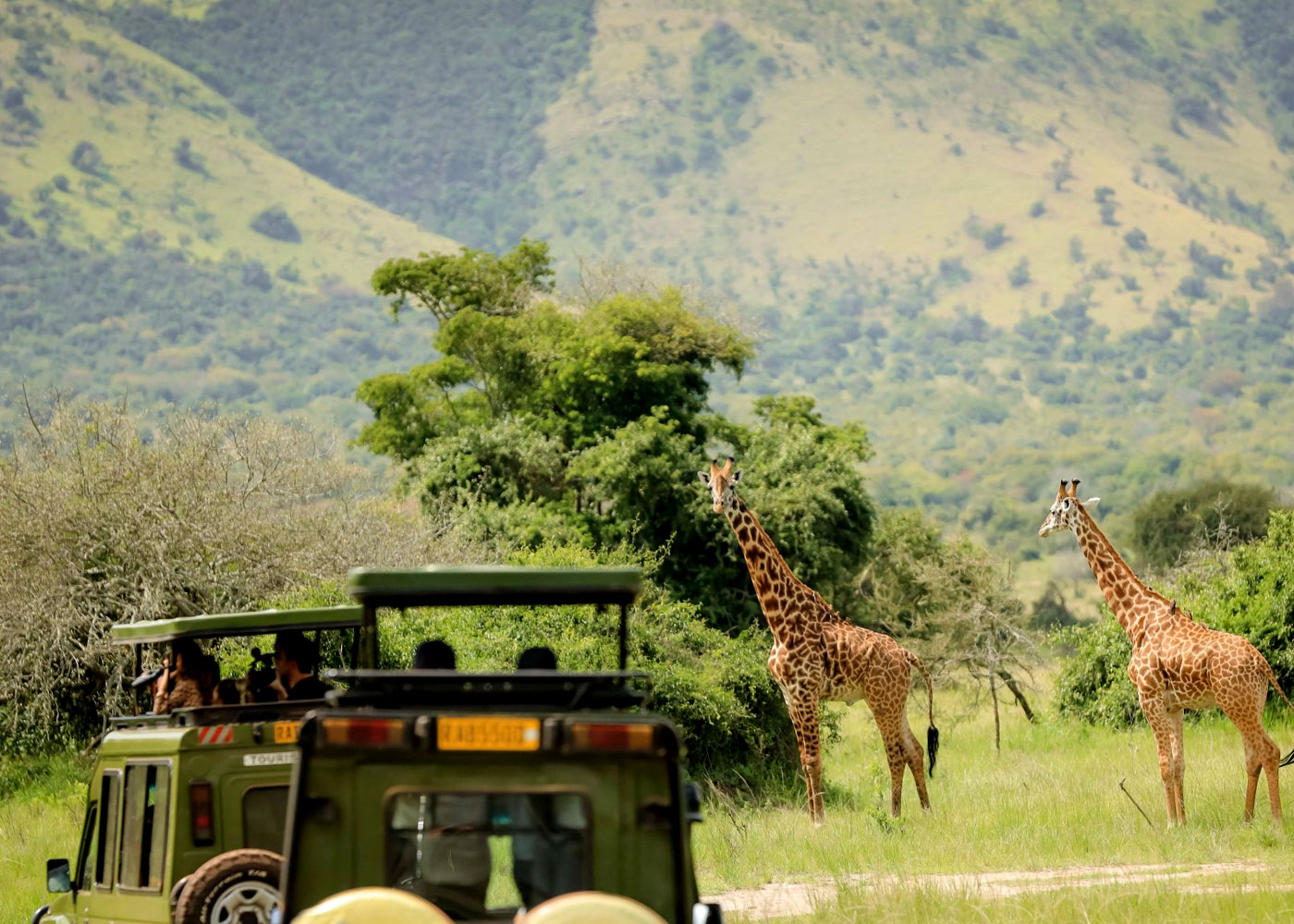 planning-a-family-safari-in-rwanda