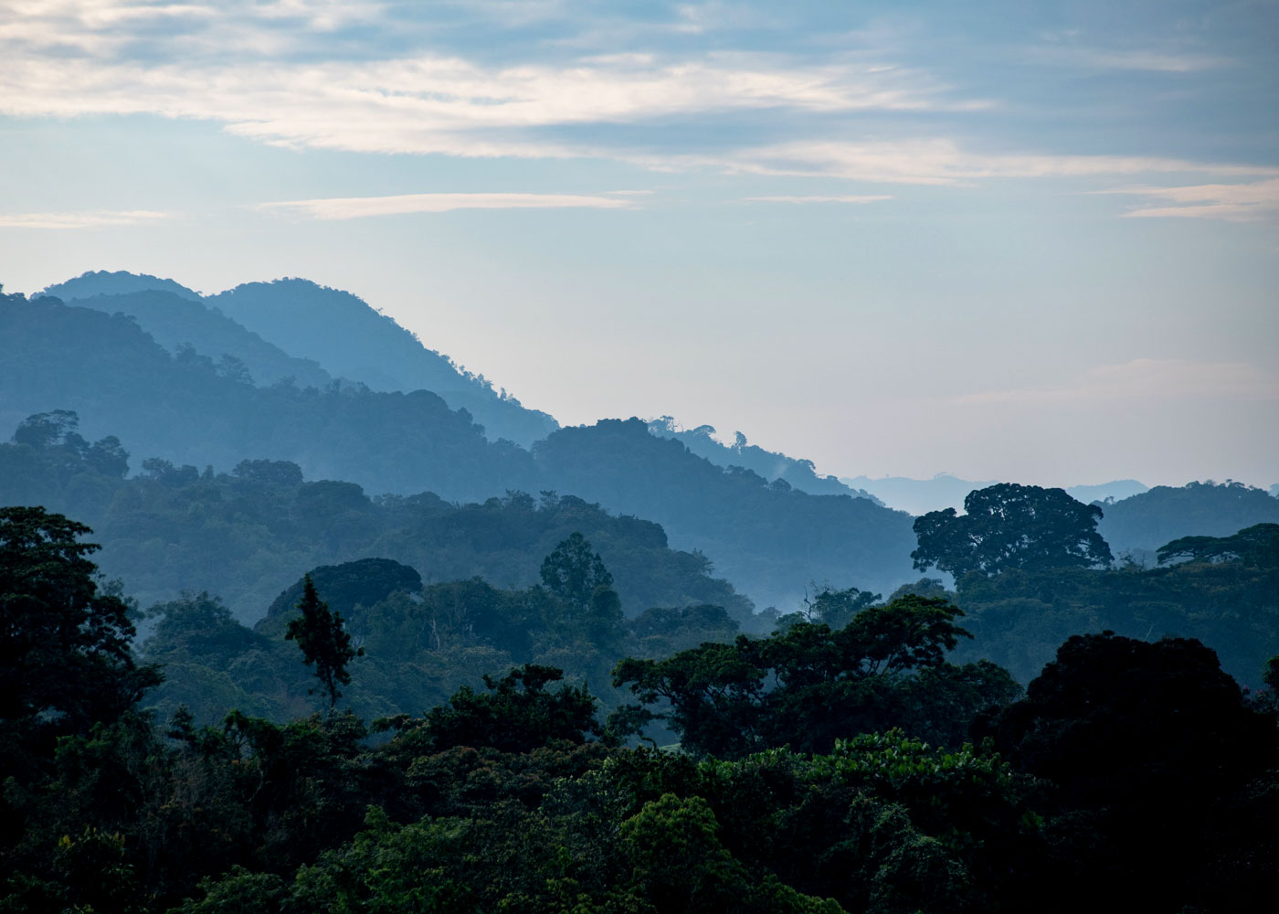 the-finest-way-to-explore-nyungwe-forest-national-park